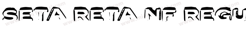 Seta Reta NF Regular字体转换